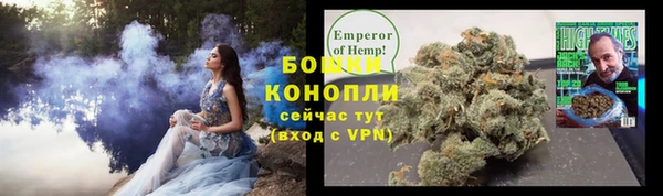 ПСИЛОЦИБИНОВЫЕ ГРИБЫ Елабуга
