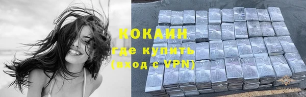 кокс Ельня
