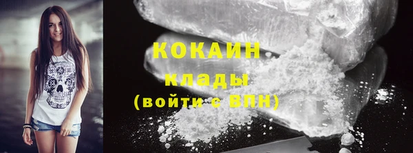 стаф Елизово