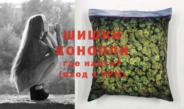 кокс Ельня