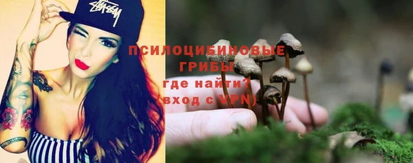 стаф Елизово