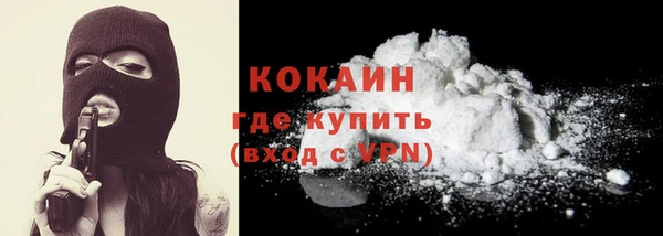 кокс Ельня