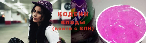 кокс Ельня