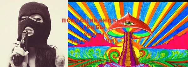 соль курить ск Заводоуковск