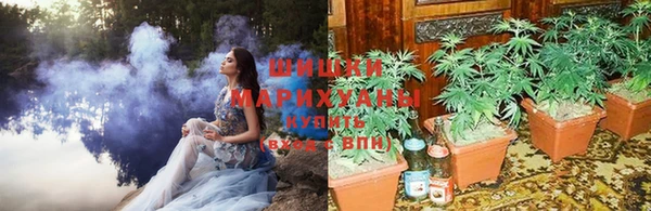 стаф Елизово