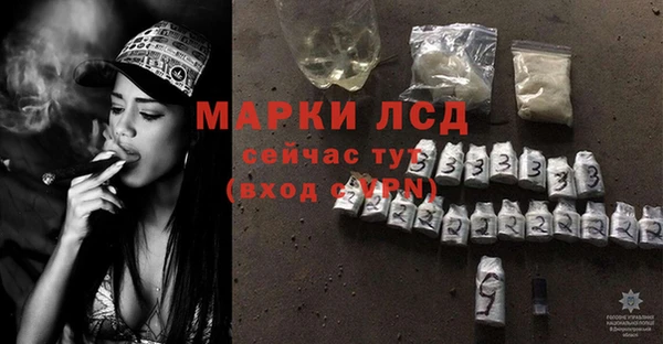 стаф Елизово