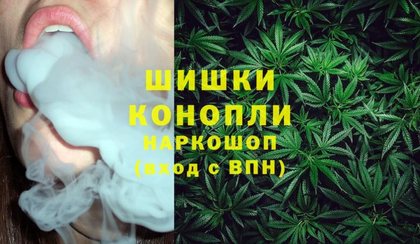 кокс Ельня