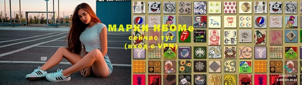 стаф Елизово