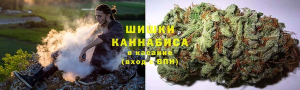 соль курить ск Заводоуковск