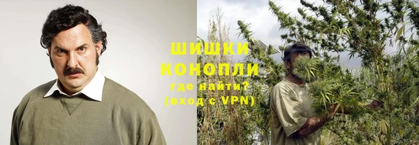 кокс Ельня