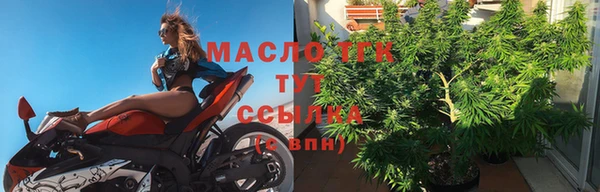 стаф Елизово