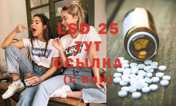 шишки Заволжье