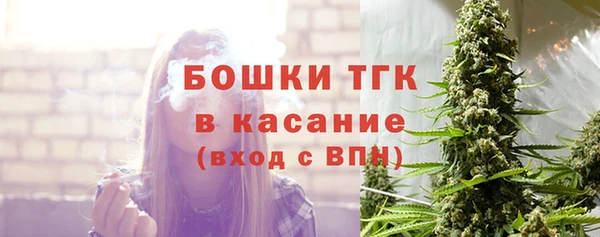 стаф Елизово